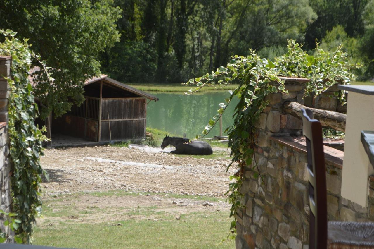 Готель Bioagriturismo Tenuta Montenuovo Calvera Екстер'єр фото